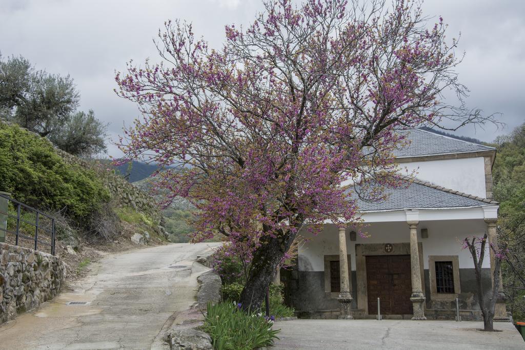 Casa Rural Fuente El Boticario Альдеануэва-де-ла-Вера Экстерьер фото